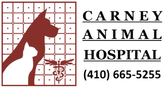 Carney Animal Hospital